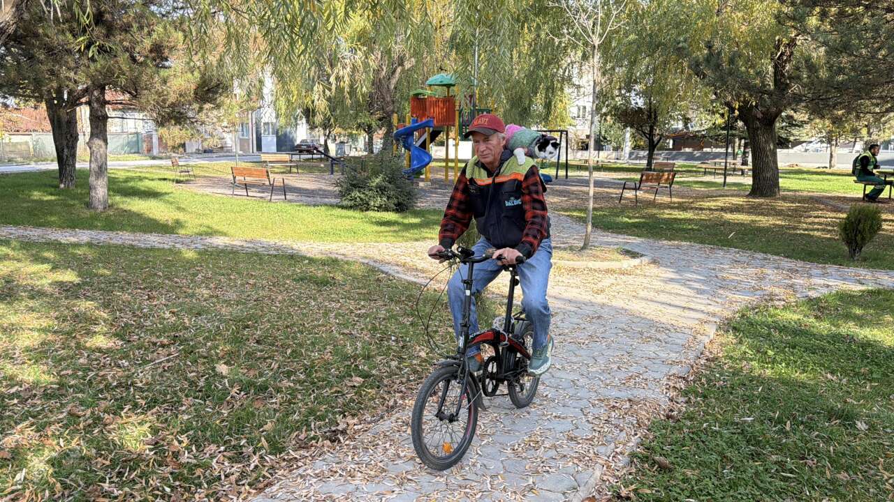 Omzundaki kediyle 65 şehir gezdi! Konya rotasından sonra şimdi Selanik’i hedefliyor 2